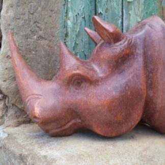 CP01:RHINO HEAD