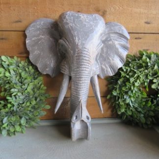 KAA37-32: GREY ELEPHANT HEAD