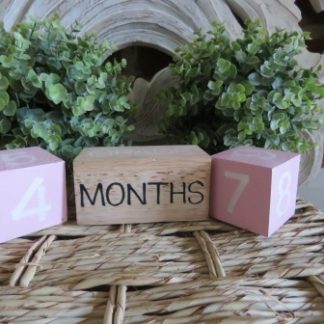 IGI56-1: PINK "YEAR,MONTH,WEEK" CALENDAR