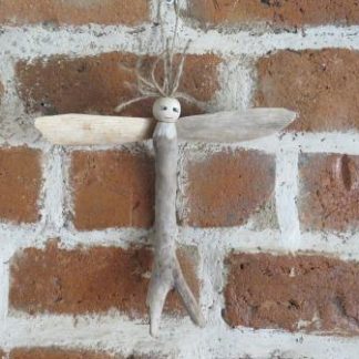 RC04-19:ANGEL-DRAGONFLY