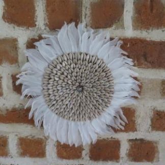 IS03-19:FEATHER AND SHELL