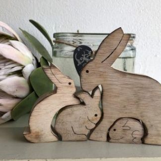 GP18-3:Bunny Family
