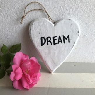 TR13:13cm Dream Heart