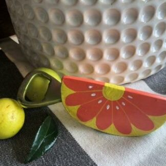 B002-bottle opener melon