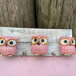 DS10-4:Owl hooks